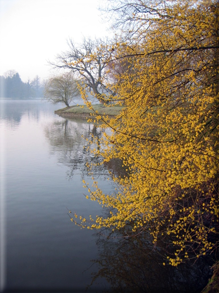 foto Alba al Parco Karlsaue